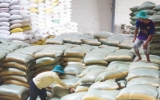 Cấp 4.000 tấn gạo từ nguồn dự trữ quốc gia cho Quảng B&igrave;nh, Quảng Trị, Thừa Thi&ecirc;n Huế, Quảng Nam 