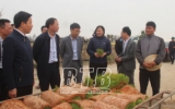 Đẩy nhanh tiến độ gieo cấy l&uacute;a xu&acirc;n bảo đảm lịch thời vụ