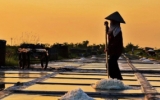 Ph&aacute;t triển nghề muối gắn với du lịch trải nghiệm
