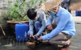 Th&aacute;i B&igrave;nh đ&atilde; ghi nhận 250 ca sốt xuất huyết