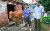 Th&aacute;i B&igrave;nh phấn đấu đến năm 2025 giảm 1/3 quy m&ocirc; số hộ ngh&egrave;o
