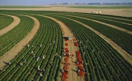 Cuộc sống tuyệt đẹp nh&igrave;n từ tr&ecirc;n cao