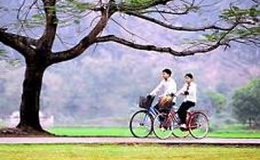 Người bạn mới