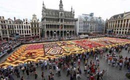 Ng&acirc;y ngất thảm hoa tuyệt sắc ở Bỉ 