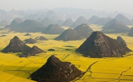 Biển hoa cải v&agrave;ng tuyệt đẹp ở Trung Quốc