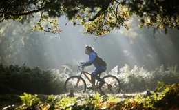 Sắc thu mu&ocirc;n m&agrave;u khắp thế giới