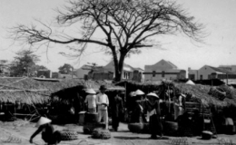 Người lạc về đ&acirc;u