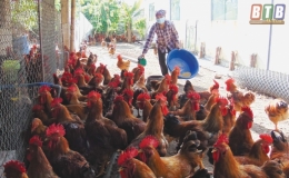 Ph&ograve;ng giao dịch Ng&acirc;n h&agrave;ng CSXH huyện Quỳnh Phụ Đồng h&agrave;nh c&ugrave;ng người ngh&egrave;o