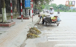 N&ocirc;ng th&ocirc;n Th&aacute;i B&igrave;nh: S&aacute;ng, xanh, sạch (Kỳ 2)