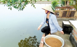 Phụ nữ x&atilde; Ph&uacute; Ch&acirc;u tiết kiệm theo gương B&aacute;c