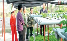 Tiền Hải ph&aacute;t triển nhiều m&ocirc; h&igrave;nh n&ocirc;ng nghiệp sạch