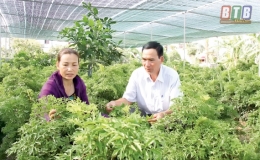 Hiệu quả  thiết thực