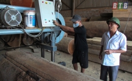 Cựu chiến binh Nguyễn Văn Rơi: L&agrave;m kinh tế giỏi