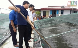 L&agrave;m gi&agrave;u từ nu&ocirc;i t&ocirc;m c&ocirc;ng nghệ cao