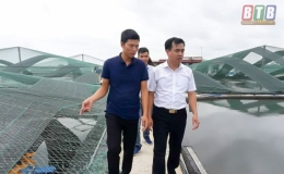 L&atilde;i tiền tỷ nhờ l&agrave;m &ldquo;nh&agrave;&rdquo; nu&ocirc;i t&ocirc;m