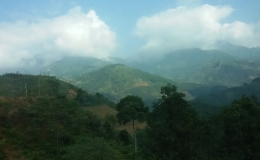 Giảm tr&ecirc;n 50% diện t&iacute;ch rừng thiệt hại