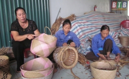 Vươn l&ecirc;n từ bẹ ng&ocirc; b&egrave;o bồng