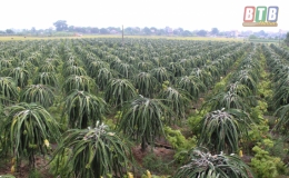 Hoạt động ng&acirc;n h&agrave;ng 9 th&aacute;ng cơ bản ổn định