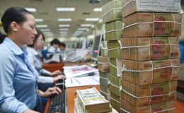 VND l&agrave; hiện tượng hiếm hoi tr&ecirc;n thế giới