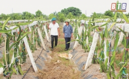 Hội N&ocirc;ng d&acirc;n x&atilde; Vũ Lăng: C&ugrave;ng hội vi&ecirc;n ph&aacute;t triển kinh tế