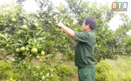 Xứng l&agrave; l&iacute;nh Cụ Hồ