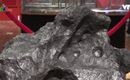 Đấu gi&aacute; thi&ecirc;n thạch khổng lồ tại Ph&aacute;p