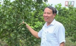 Thu tiền tỷ từ trồng c&acirc;y ăn quả