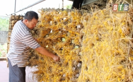 X&atilde; Hồng Phong l&agrave;m gi&agrave;u từ nghề &ldquo;ăn cơm đứng&rdquo; 