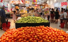 C&acirc;n đối cung cầu, b&igrave;nh ổn thị trường dịp Tết Nguy&ecirc;n đ&aacute;n Canh T&yacute; 2020