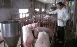 Hội CCB Hưng H&agrave; tổ chức 17 lớp tập huấn kỹ thuật sản xuất cho hội vi&ecirc;n