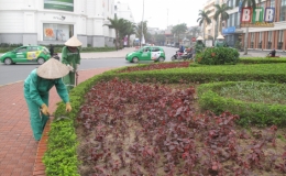 Th&aacute;i B&igrave;nh được b&igrave;nh chọn l&agrave; đ&ocirc; thị ti&ecirc;u biểu Xanh - Sạch - Đẹp năm 2019