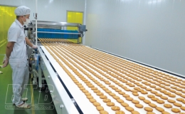 C&ocirc;ng ty Cổ phần Quốc tế Bảo Hưng:  Vươn tầm cao mới