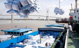 Gi&aacute; trị xuất khẩu gạo đạt 2,4 tỷ USD