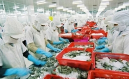 Hai th&aacute;ng sau EVFTA, xuất khẩu v&agrave;o EU tăng th&ecirc;m 700 triệu USD