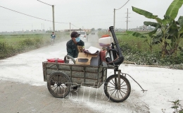 Kiến Xương: Kịp thời khống chế bệnh dịch tả lợn ch&acirc;u Phi