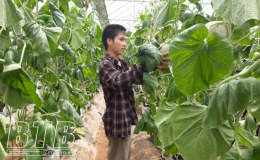 Kỳ họp thứ 3, nhiệm kỳ 2020 - 2025 Ban Chấp h&agrave;nh Đảng bộ huyện Hưng H&agrave;