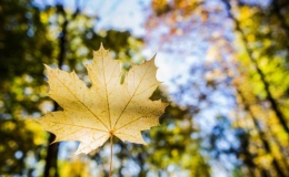 Miền Bắc thời tiết m&aacute;t mẻ