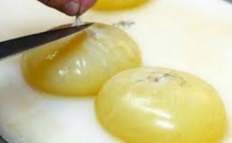 M&oacute;n trứng bạch tuộc Nhật Bản