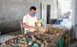 Muốn đi xa phải đi c&ugrave;ng nhau