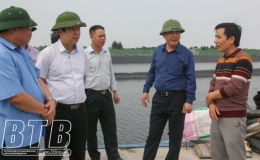 Th&aacute;i B&igrave;nh đổi mới, ph&aacute;t triển