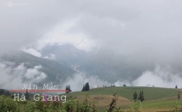 Thảo nguy&ecirc;n đẹp bậc nhất Việt Nam