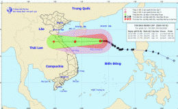 Tin b&atilde;o khẩn cấp (Cơn b&atilde;o số 8)