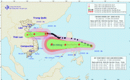 Tin b&atilde;o khẩn cấp (Cơn b&atilde;o số 8)