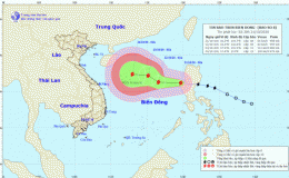 Tin b&atilde;o tr&ecirc;n biển Đ&ocirc;ng - Cơn b&atilde;o số 8