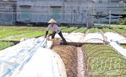 Về Điệp N&ocirc;ng xem n&ocirc;ng d&acirc;n &ldquo;bới đất&rdquo; kiếm tiền