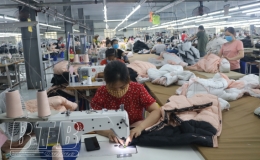 890 người nộp thuế được gia hạn thuế theo Nghị định số 52