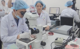 Đại học Quốc gia TP Hồ Ch&iacute; Minh c&oacute; th&ecirc;m 2 nh&oacute;m ng&agrave;nh xếp hạng cao tr&ecirc;n thế giới