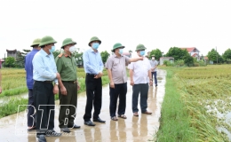 Đồng ch&iacute; Nguyễn Quang Hưng,  Ph&oacute; Chủ tịch thường trực UBND tỉnh kiểm tra, chỉ đạo c&ocirc;ng t&aacute;c khắc phục ảnh hưởng của b&atilde;o số 7 tại huyện Th&aacute;i Thụy