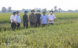 Đồng ch&iacute; Nguyễn Tiến Th&agrave;nh, Ph&oacute; B&iacute; thư thường trực Tỉnh ủy, Chủ tịch HĐND tỉnh thăm m&ocirc; h&igrave;nh ph&aacute;t triển kinh tế giỏi của hội vi&ecirc;n n&ocirc;ng d&acirc;n