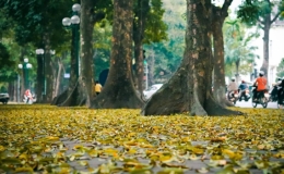 Dự b&aacute;o thời tiết 23/10: Cuối tuần Bắc Bộ r&eacute;t s&acirc;u